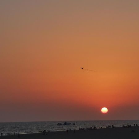 Appartamento Entre Pinos Y Playa Matalascañas Esterno foto